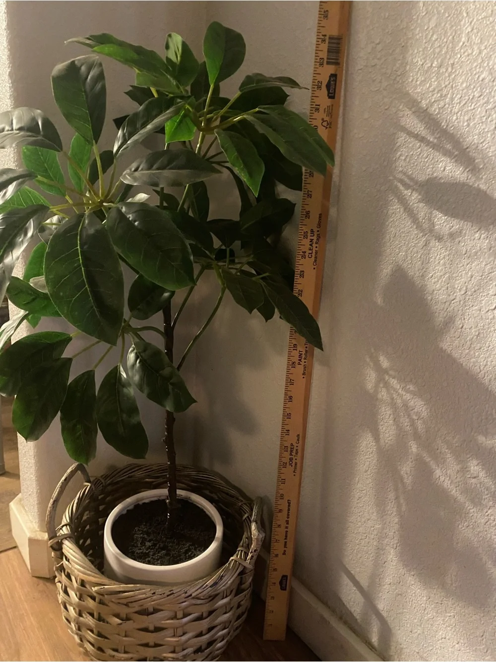 Faux Umbrellas Tree plant in Rattan Plant Basket with Handles